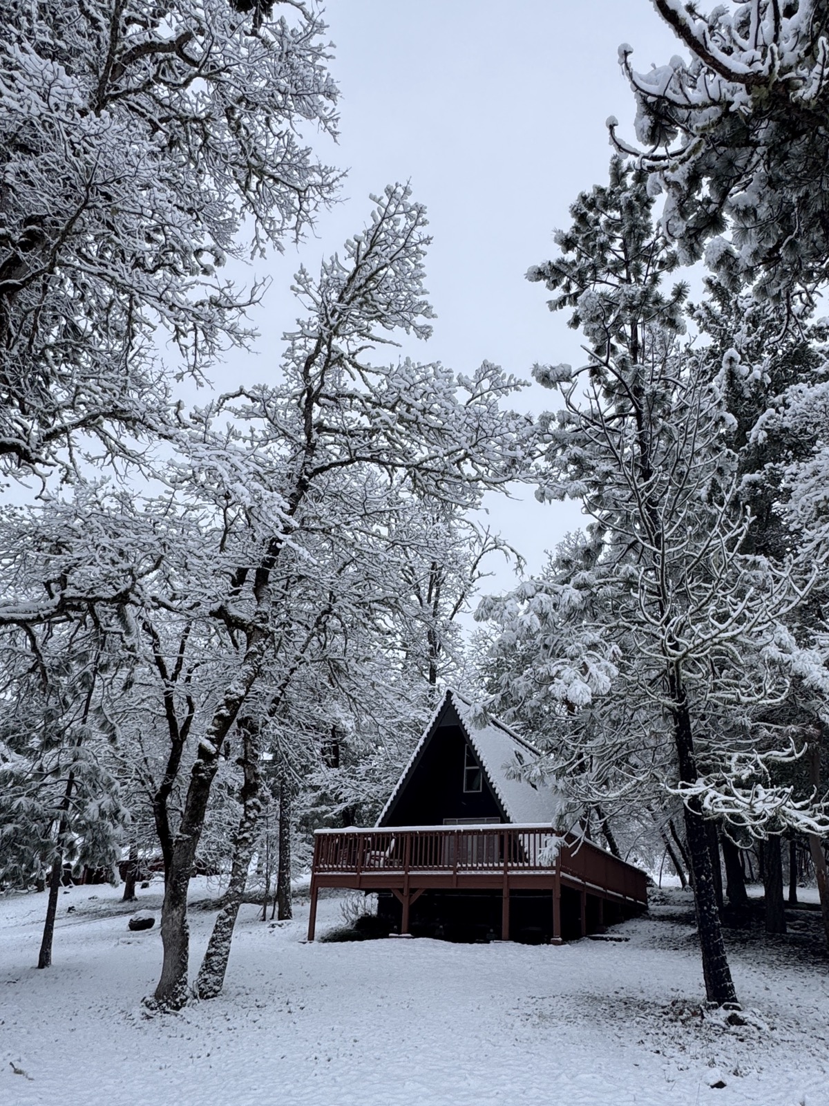 A-Frame Cabin surrounded by pine forest at Indian Lake Ranch