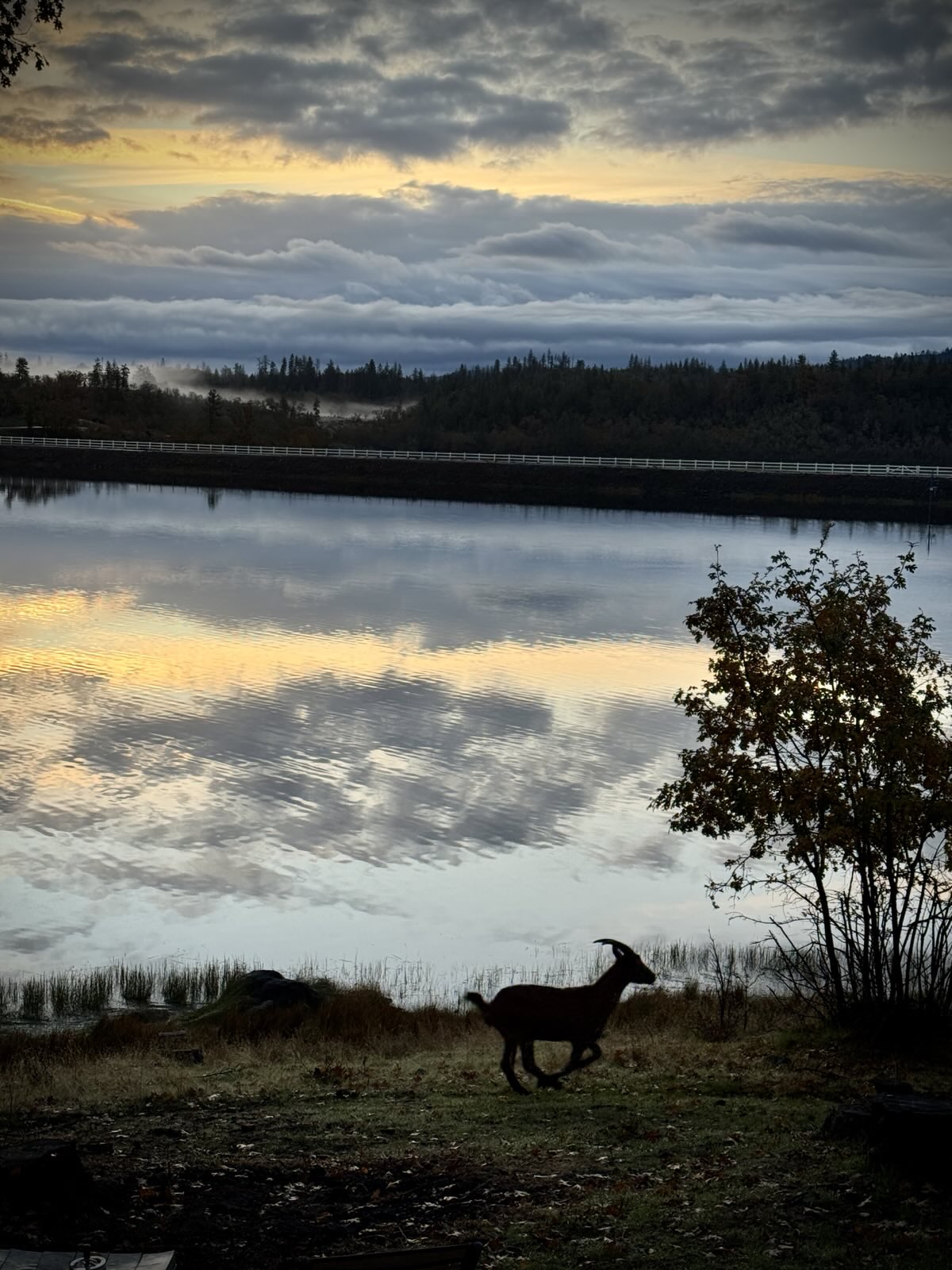 Indian Lake Ranch - a perfect place for love and celebrations