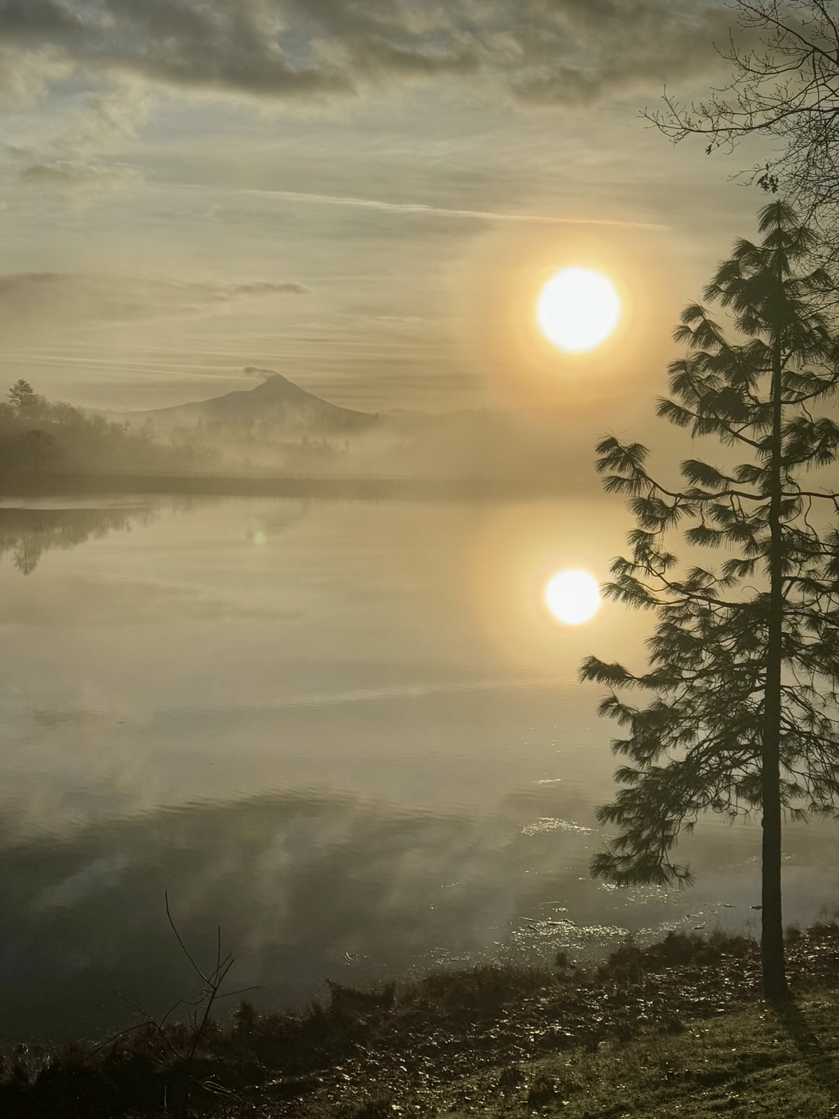 Serene shoreline of Indian Lake with natural vegetation