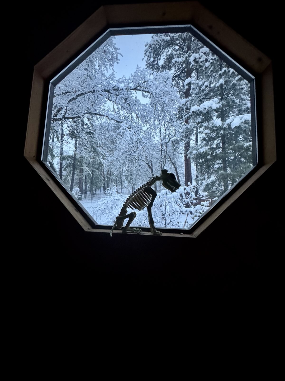 Main House at Indian Lake Ranch in winter snow