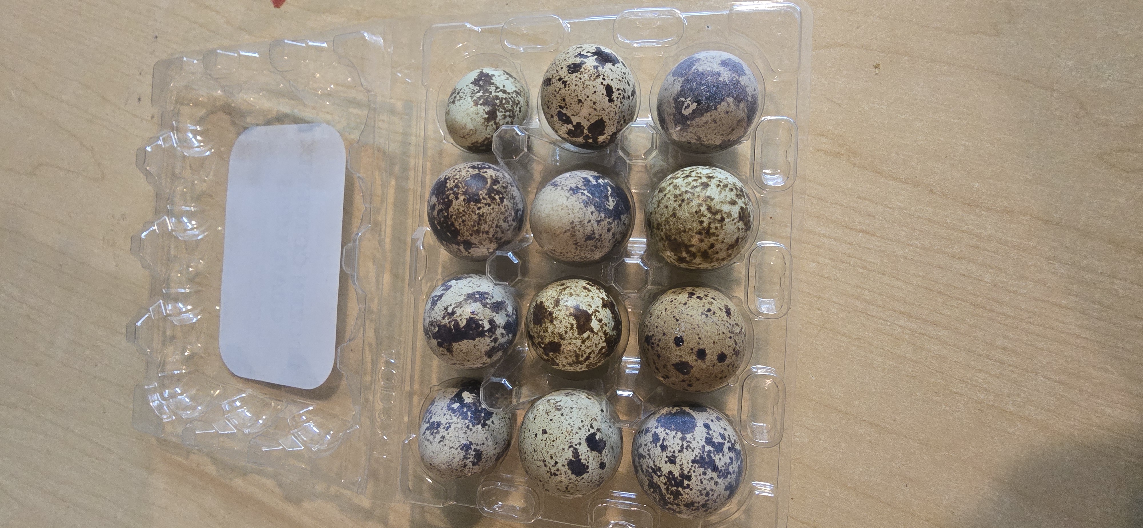 Fresh quail eggs